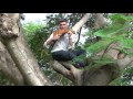 Music in paradise  david dring  panflte  panflute  flauta de pan  panpipe