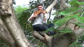 Music in Paradise - David Döring - Panflöte - Panflute - Flauta de Pan  | Panpipe chords