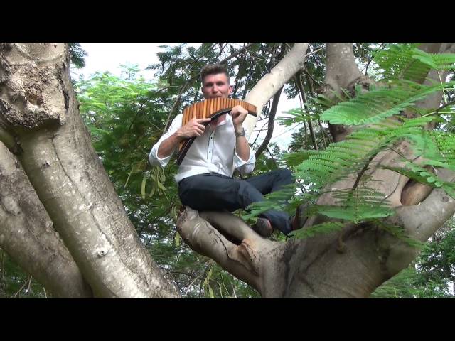 Music in Paradise - David Döring - Panflöte - Panflute - Flauta de Pan  | Panpipe class=