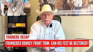 Dc Recap Foundered Donkey Front Feet Trim Can His Feet Be Restored Back To Normal?