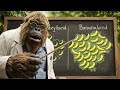 Tariffs Explained with Bananas 🍌 | Professor BigFoot Economics