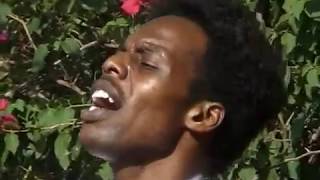 Aseneno Tijeni