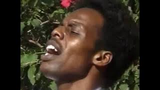 Aseneno  Tijeni