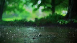 Epic Focus Music - Relaxing Instrumental and Rain in the morning 🛌 🌧️ 🌧️