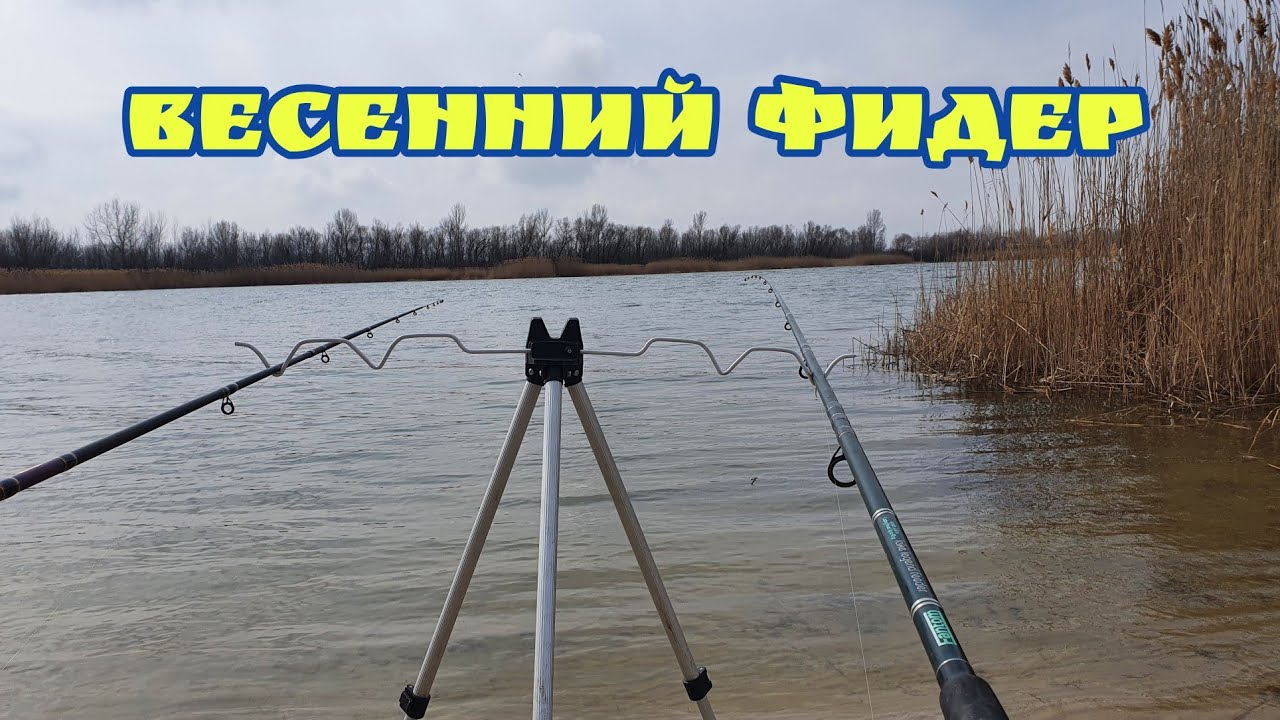 Фидер на волге