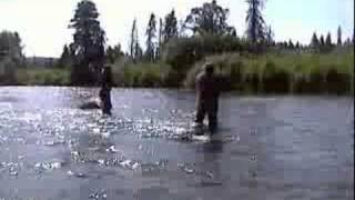 Alaska Fly Fishing Trip - Rainbow Point Lodge July 2008