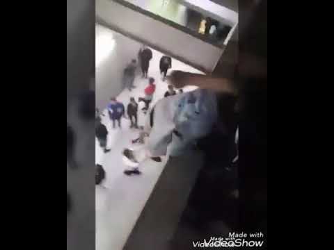 الفيديو الاكثر تداول هذا هو جنون وعشاق الجماهير العراقيه تخاطر بنفسها من اجل مشاهدة المنتخب