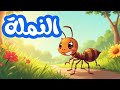 انشودة النملة للسنة خامسة ابتدائي ابتدائي مدرسة اناشيد مدرسية السنة الخامسة ابتدائي