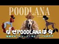 なぜPoodlanaは今年最もスタイリッシュなトークンなのか?