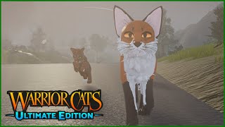 The fox who learned to fly || Warrior Cats: Ultimate Edition