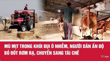 Mù mịt trong khói bụi ô nhiễm, người dân Ấn Độ bỏ đốt rơm rạ, chuyển sang tái chế | VTV24
