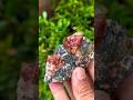Red Zircon Specimen Shorts Viral Trending Crystal Ytshorts Youtube Gemstone Mining Red Zircon Specimen Shorts Viral Trending Crystal Ytshorts Youtube Gemstone Mining