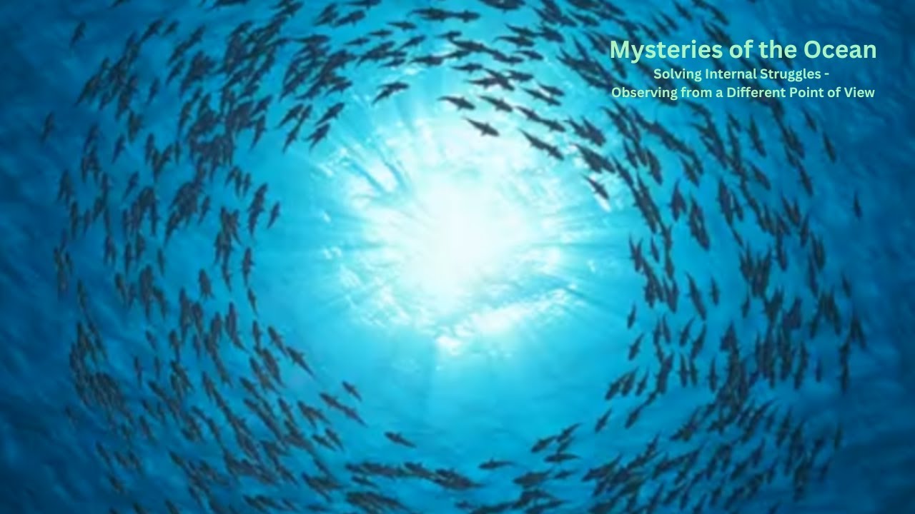 Mysteries of the Ocean: Solving Internal Struggles & Observing Life ...