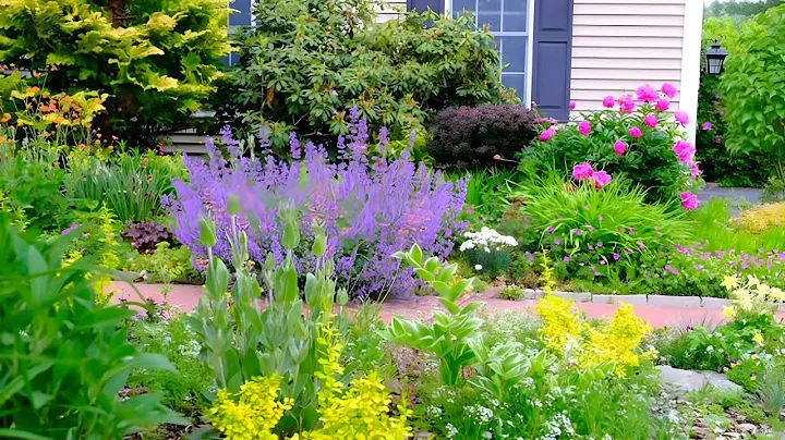 Small Garden Ideas: How to Maximize Your Space with Beautiful Plants