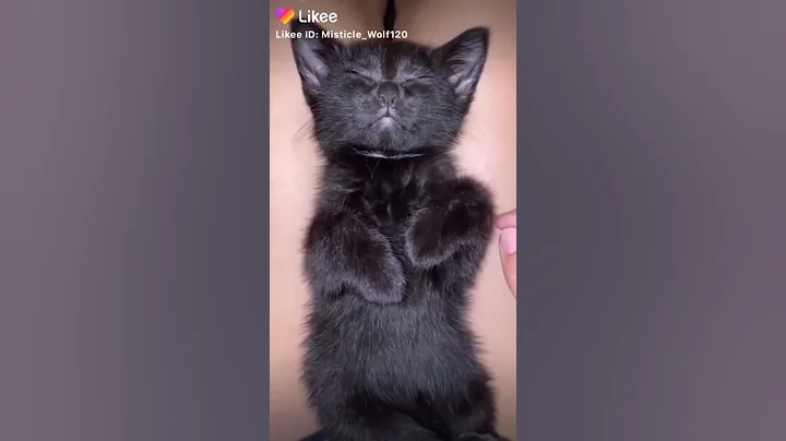 Awwww First vid