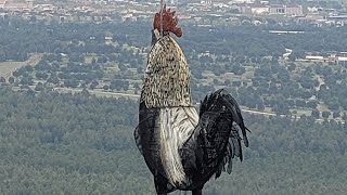 Turan Yolu - Denizli
