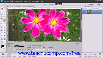 Photoshop Elements 12 Tutorial The Clone Stamp Tool Adobe Training Lesson 13.12