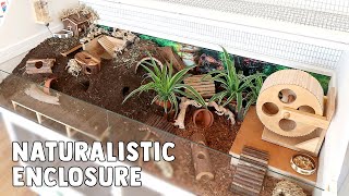 Setting Up A Naturalistic Hamster Cage | The Petri Dish