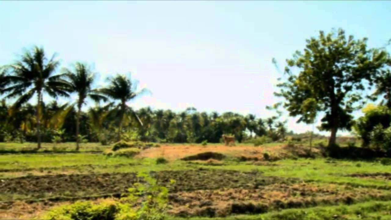 Gonaives, une ville a decouvrir