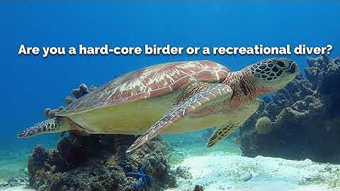 iGoTerra - The Ultimate Wildlife Listing Site