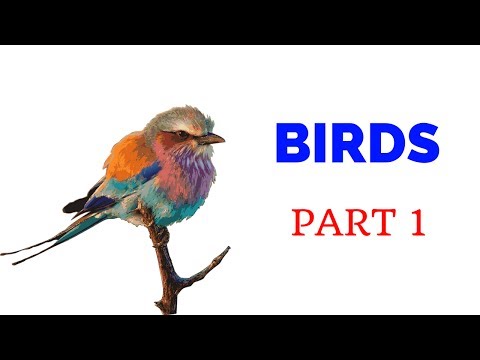 Birds in Kannada - Part 1 - Learn Kannada