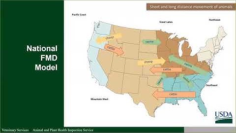 Epidemiologic Modeling for the use of FMD Vaccine in an Outbreak (April 9, 2020)