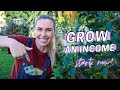 100 Ways to Make an Income from your Home Garden, Lifestyle Property or Farm
