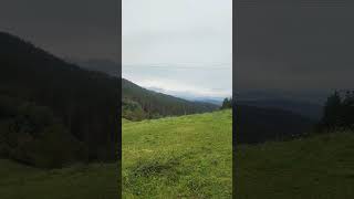 horse grass mountains walkthrough hiking 2023 shortsvideo shortvideo shorts short tree