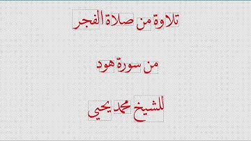 تلاوة من صلاة الفجر من سورة هود