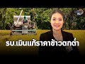 “เพื่อไทย” ถล่มรัฐบาล เหยียบย่ำชาวนา ไม่แก้ราคาข้าวตกต่ำ : Matichon TV