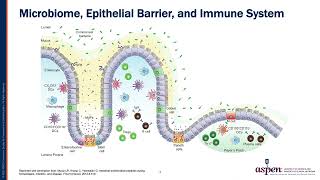 Current Understandings of the Role of the Gut in Autoimmune Diseases​