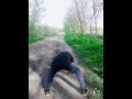 Танцор Диско!!