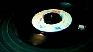 Video thumbnail of "Bruce and Terry - Summer Means Fun - 45 rpm"