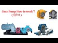 How Gear Pump Works? | Gear Pump Working Animation | Positive Displacement Pump Explained 