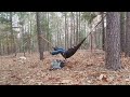 Beginning of video
