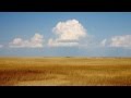 Miniature de la vidéo de la chanson Rodeo: Corral Nocturne