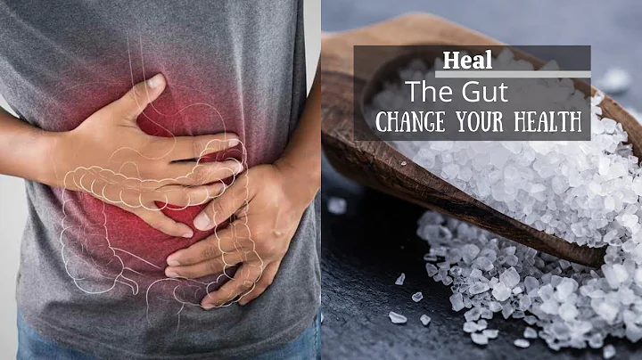 MSM: Heal Your Gut | Change Your Health