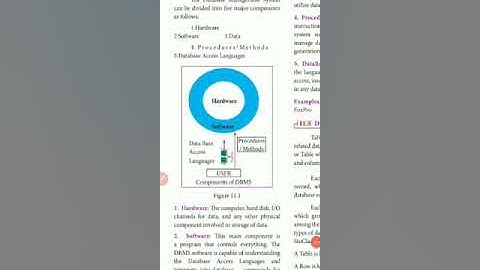 12th Computer Science ch11 Database Concepts part 2