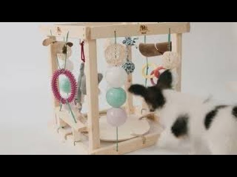 Nowy element placu zabaw dla szczeniąt :) - YouTube