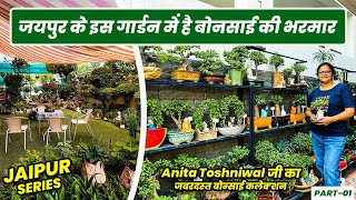 अनीता जी के बोन्साई है कुछ हटके 😲 | Large Collection | Beautiful Bonsai of Anita Toshniwal Ji 😍😍