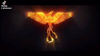 If Yapı Yapmaya Devam Ediyor