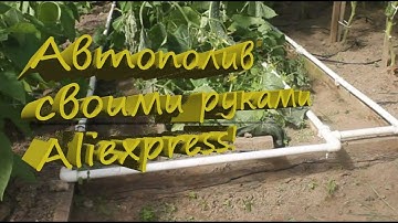 Автоматический полив растений в теплице своими руками с Aliexpress!