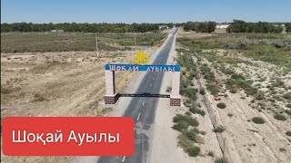 картинка: Шоқай ауылы Ілесұлы Ақжігіттің  көкпары 30.08.2025