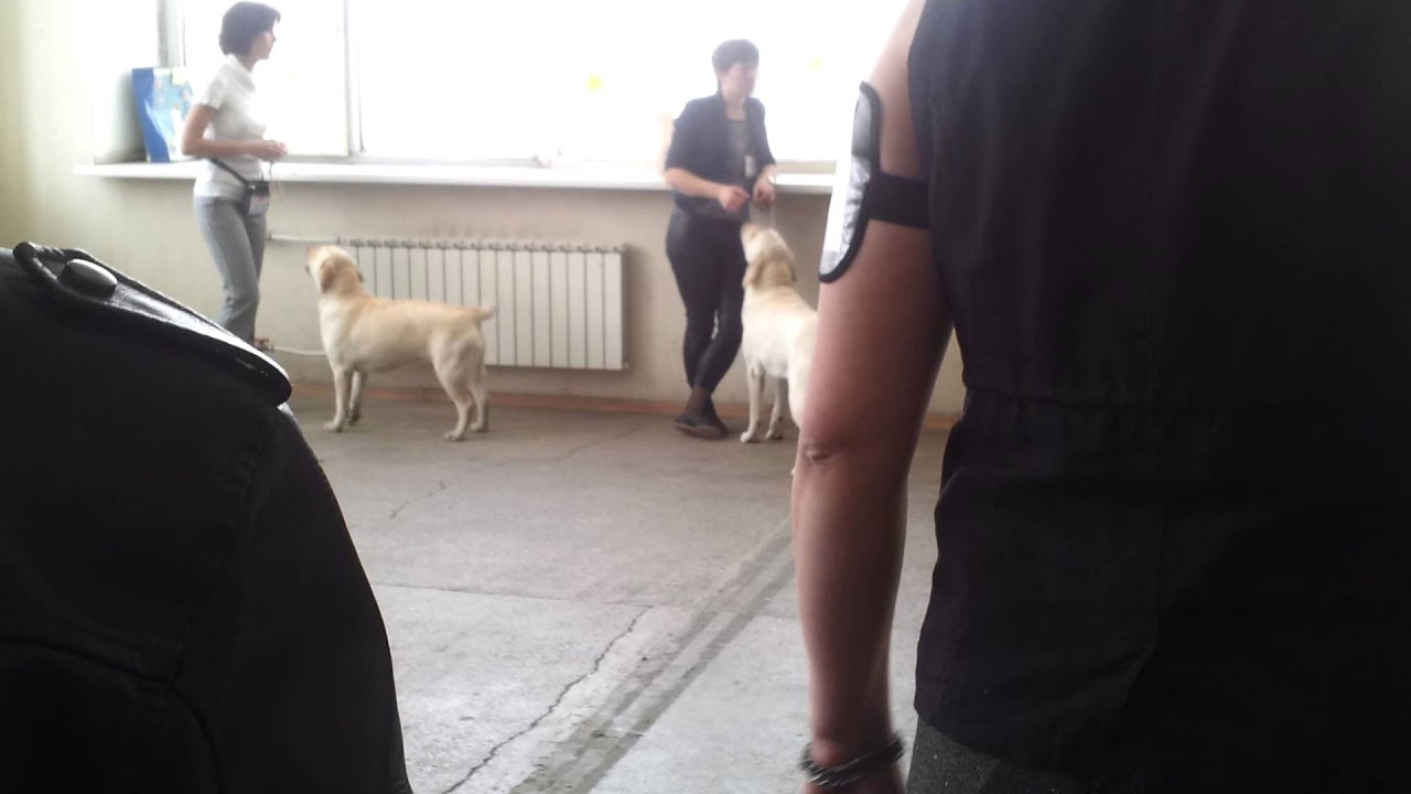 Кэнди Долл Кей Ту Ю Харт - YouTube