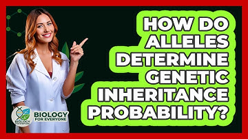 How Do Alleles Determine Genetic Inheritance Probability?