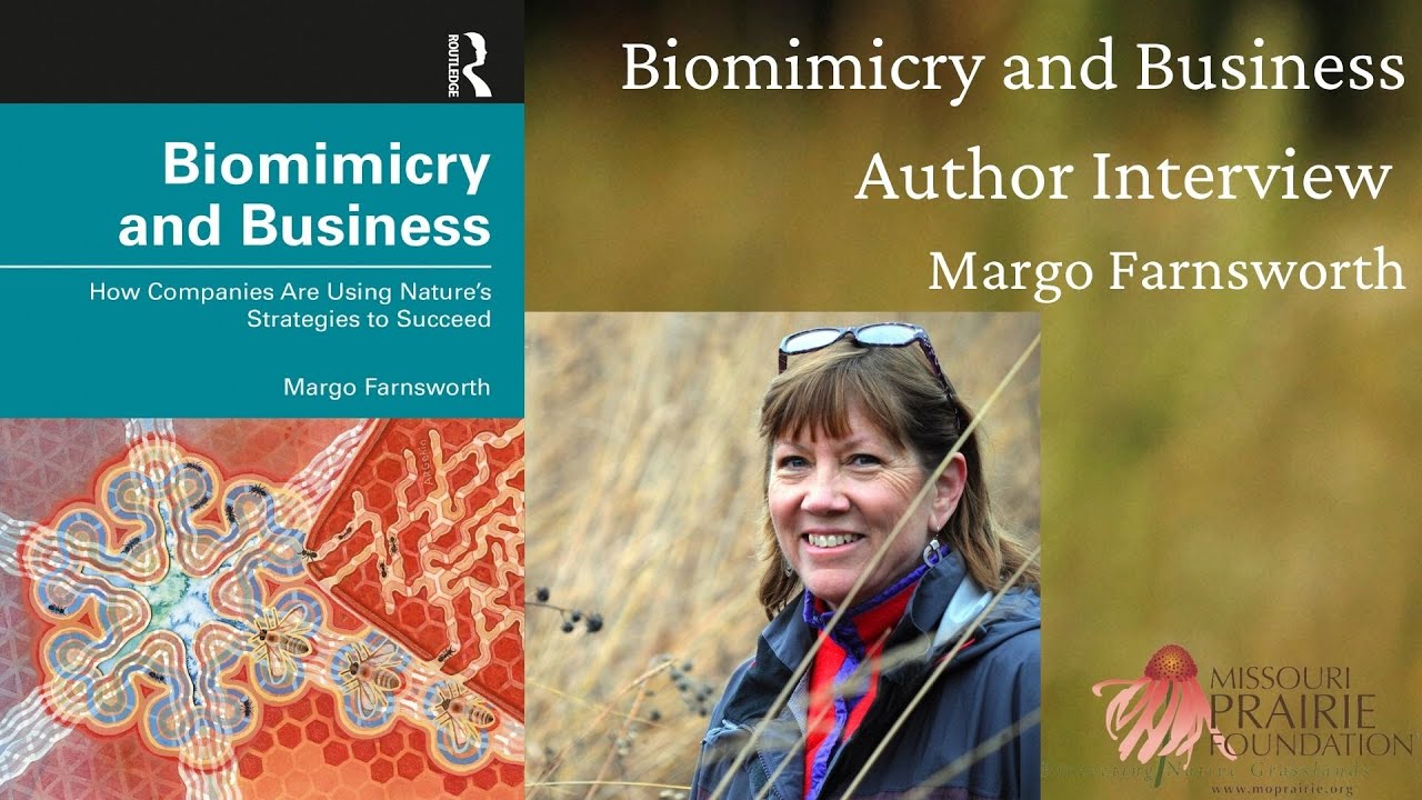 Biomimicry and Business: Interview with author Margo Farnsworth