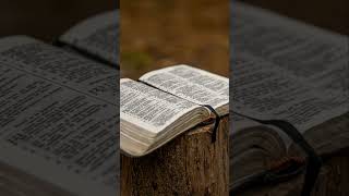 Եթե ուզում ես արժանանալ և հաղթել,կապվիր Սուրբ գրքի հետ