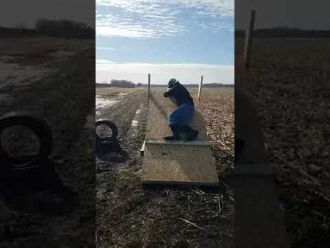 6mm GT 614 Yards