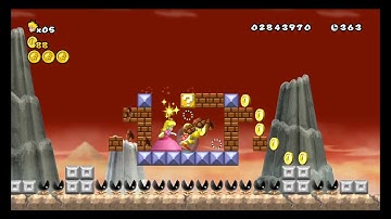 NSMBW Custom Level - Lep