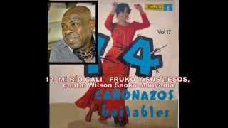 14 CAÑONAZOS BAILABLES VOLUMEN 17. DEL AÑO 1977.